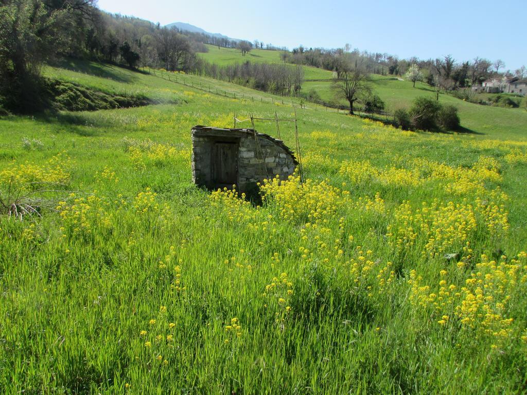 Il Gelso Room&Breakfast Pennabilli Exterior foto